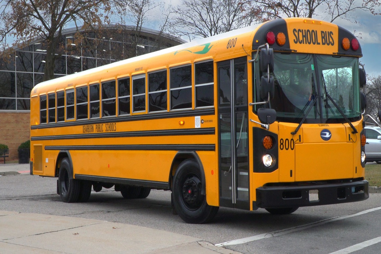 School Buses Services