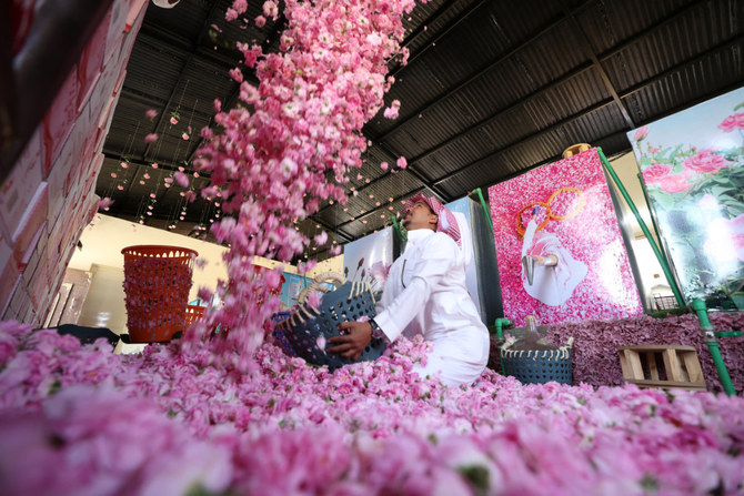 Tabuk Rose farm, Tabuk City, Saudi Arabia Pictures