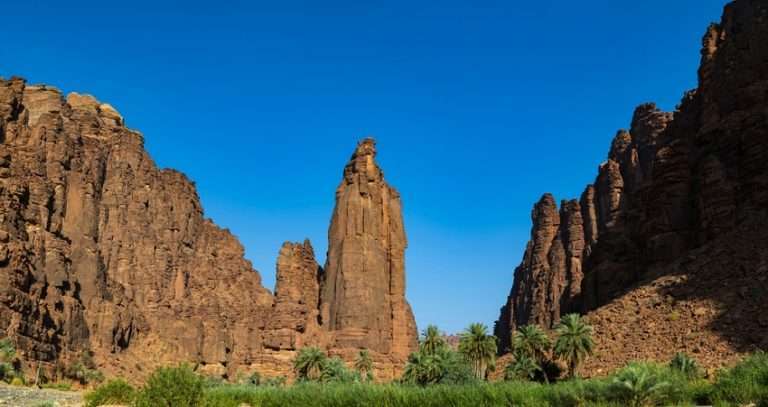 Things to Do in Tabuk - Al Fateh Transport