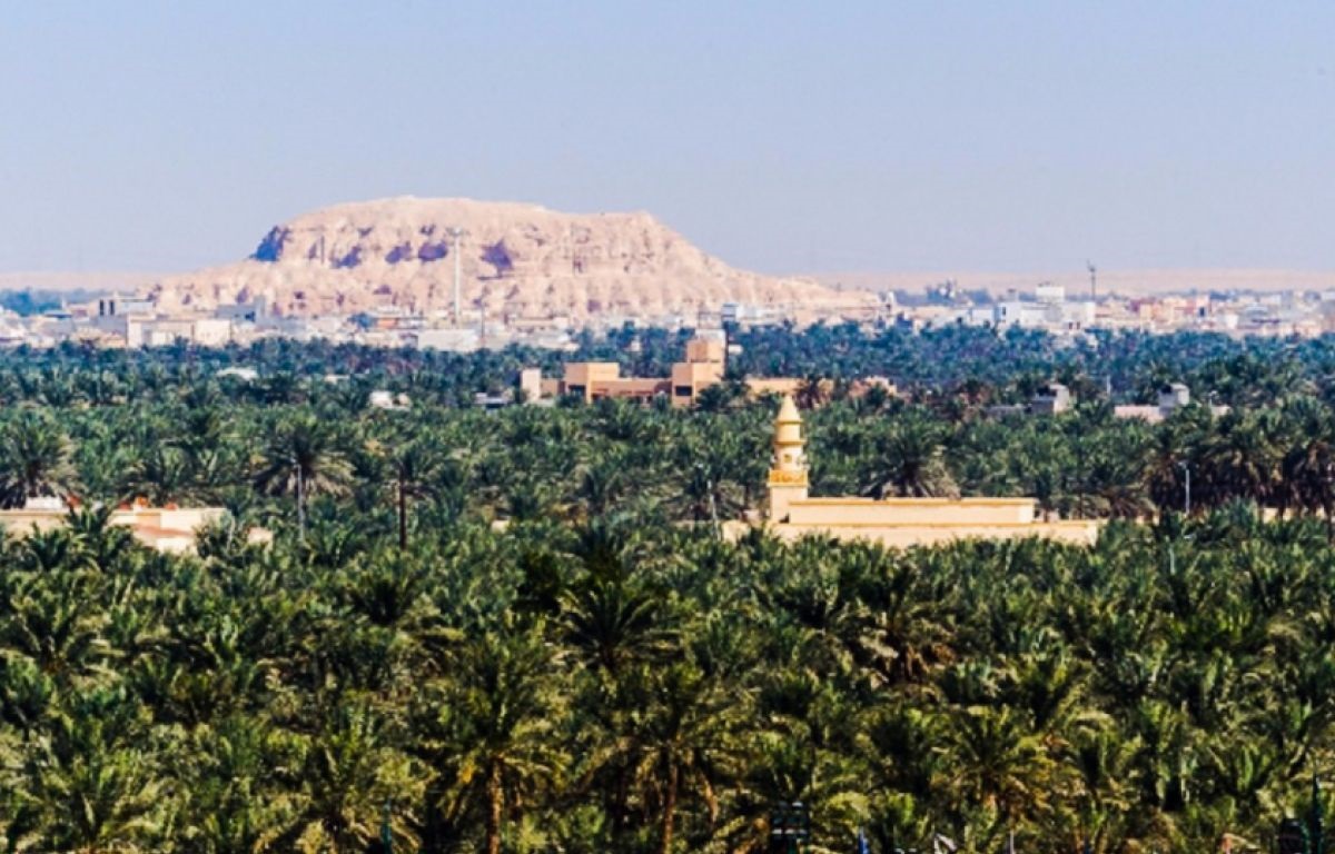Al-Ahsa Oasis A Paradise Amidst the Sands