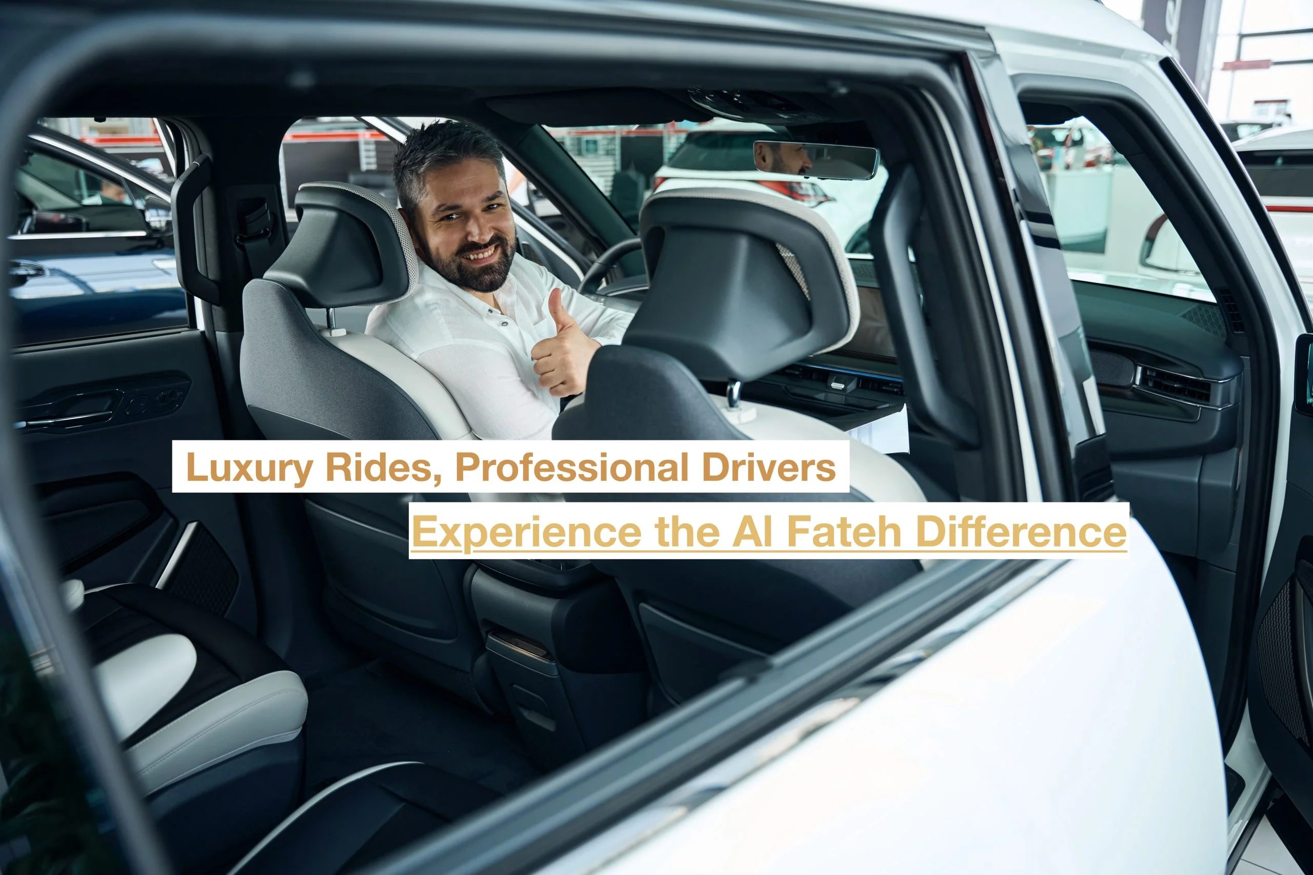 Professional chauffeured transportation services
